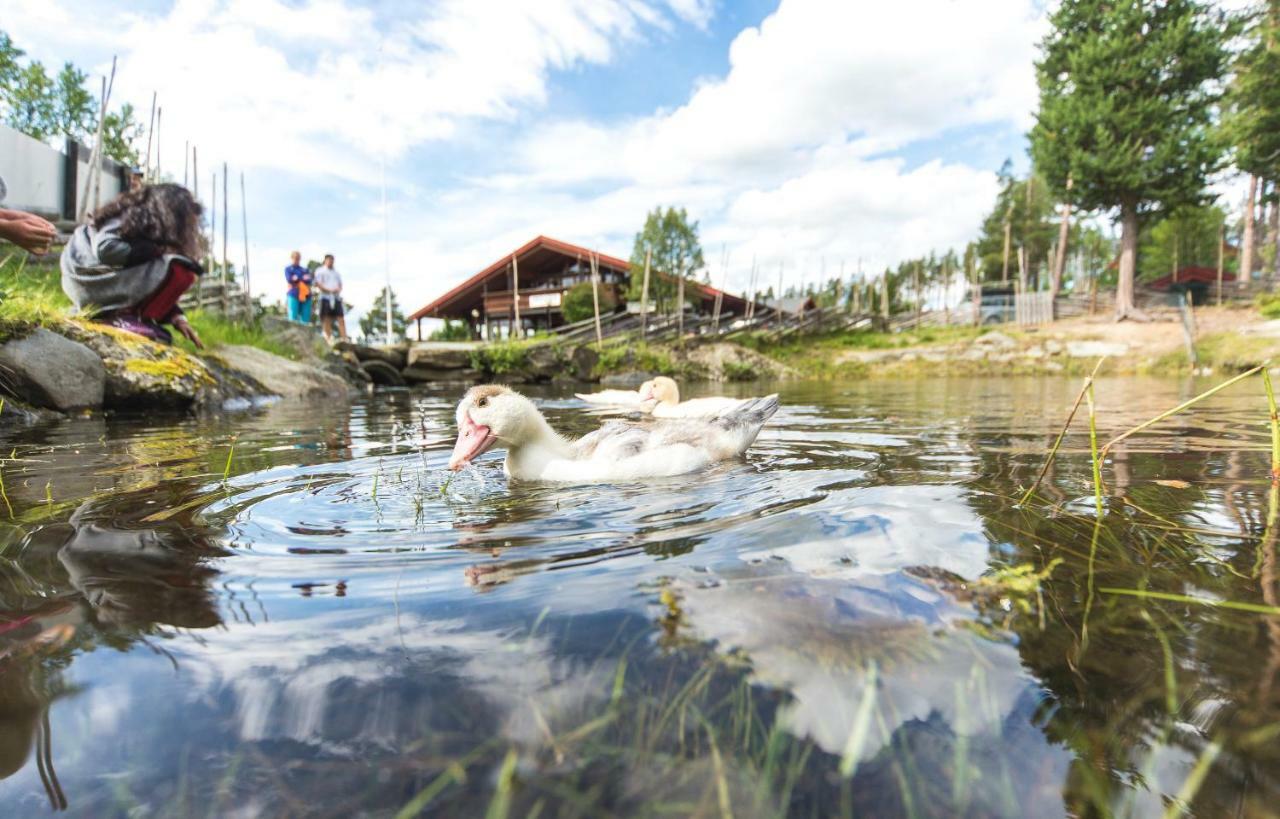 Hostal Dombas Hostel Dombås